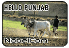Hello India - Punjab