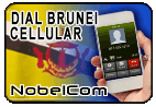 Dial Brunei - Cell