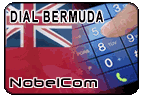 Dial Bermuda