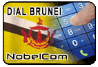 Dial Brunei