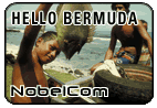 Hello Bermuda