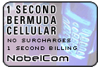 One Second Bermuda - Cell